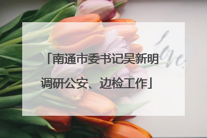 南通市委书记吴新明调研公安、边检工作