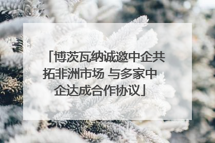 博茨瓦纳诚邀中企共拓非洲市场 与多家中企达成合作协议