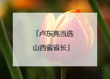 卢东亮当选山西省省长