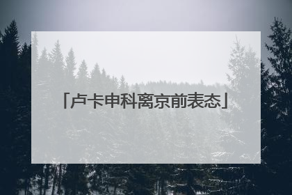 卢卡申科离京前表态