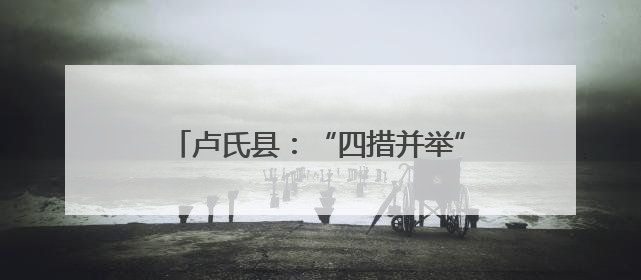 卢氏县：“四措并举”激活乡村振兴新优势