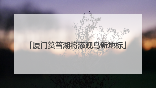 厦门筼筜湖将添观鸟新地标