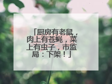 厨房有老鼠，肉上有苍蝇，菜上有虫子，市监局：下架！