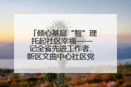 倾心基层“智”理 托起社区幸福——记全省先进工作者、新区文曲中心社区党委书记董世弘