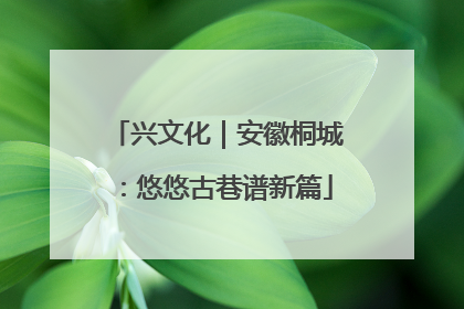 兴文化｜安徽桐城：悠悠古巷谱新篇