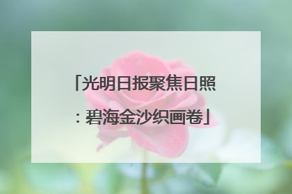 光明日报聚焦日照：碧海金沙织画卷
