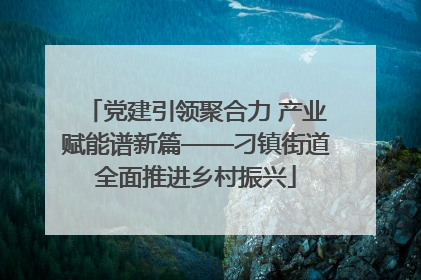 党建引领聚合力 产业赋能谱新篇——刁镇街道全面推进乡村振兴