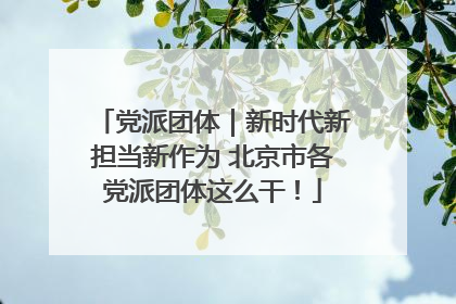 党派团体｜新时代新担当新作为 北京市各党派团体这么干！