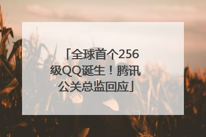 全球首个256级QQ诞生！腾讯公关总监回应