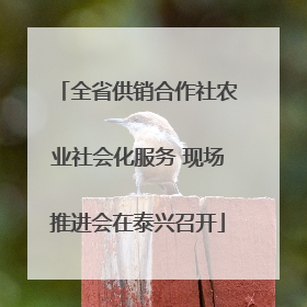 全省供销合作社农业社会化服务 现场推进会在泰兴召开