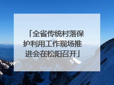 全省传统村落保护利用工作现场推进会在松阳召开