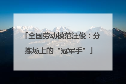 全国劳动模范汪俊：分拣场上的“冠军手”