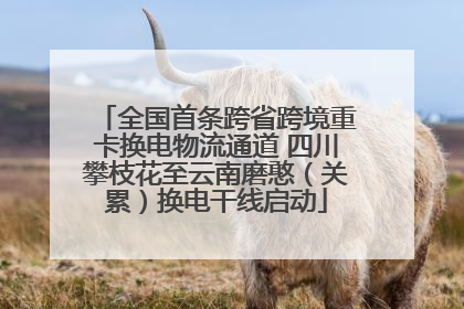 全国首条跨省跨境重卡换电物流通道 四川攀枝花至云南磨憨（关累）换电干线启动