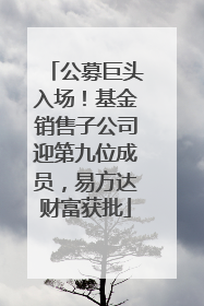 公募巨头入场！基金销售子公司迎第九位成员，易方达财富获批