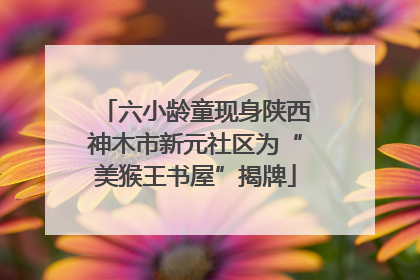 六小龄童现身陕西神木市新元社区为“美猴王书屋”揭牌