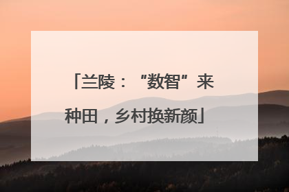 兰陵：“数智”来种田，乡村换新颜