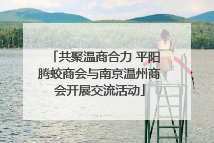 共聚温商合力 平阳腾蛟商会与南京温州商会开展交流活动