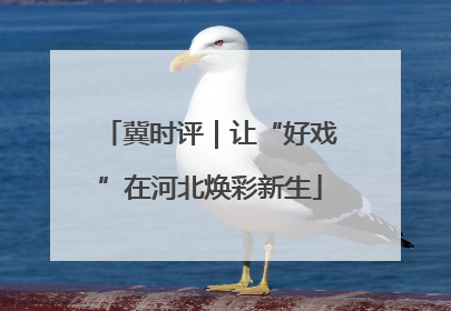 冀时评｜让“好戏”在河北焕彩新生