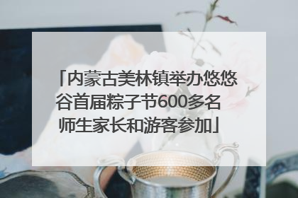 内蒙古美林镇举办悠悠谷首届粽子节600多名师生家长和游客参加