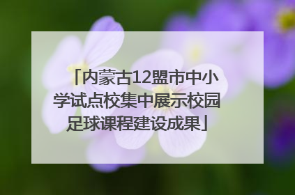 内蒙古12盟市中小学试点校集中展示校园足球课程建设成果