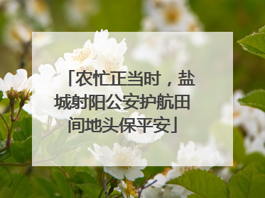 农忙正当时，盐城射阳公安护航田间地头保平安