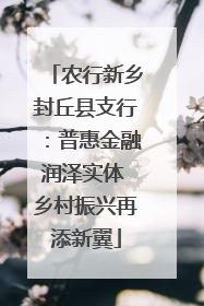 农行新乡封丘县支行：普惠金融润泽实体 乡村振兴再添新翼