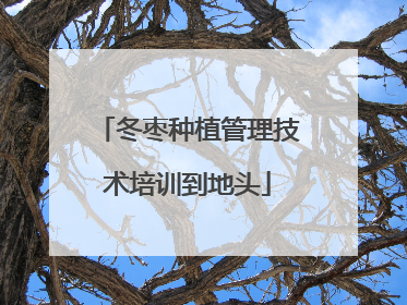 冬枣种植管理技术培训到地头