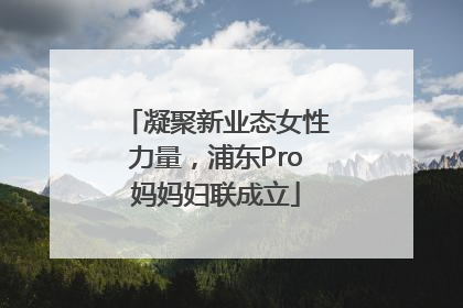 凝聚新业态女性力量，浦东Pro妈妈妇联成立