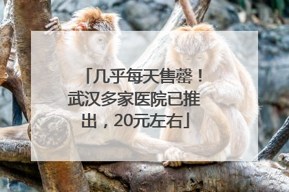 几乎每天售罄！武汉多家医院已推出，20元左右