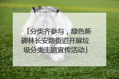 分类齐参与，绿色新碑林长安路街道开展垃圾分类主题宣传活动
