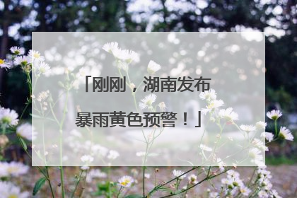 刚刚，湖南发布暴雨黄色预警！