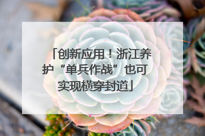 创新应用！浙江养护“单兵作战”也可实现横穿封道
