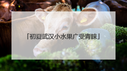 初夏武汉小水果广受青睐