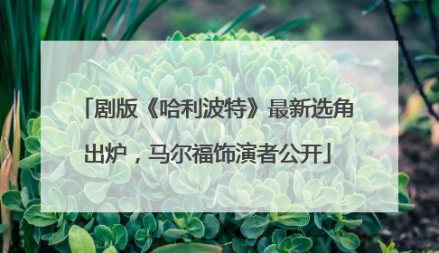 剧版《哈利波特》最新选角出炉，马尔福饰演者公开
