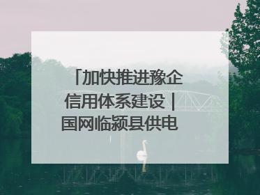 加快推进豫企信用体系建设｜国网临颍县供电公司开展电力行业信用企业现场咨询访谈工作