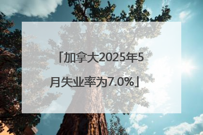 加拿大2025年5月失业率为7.0%