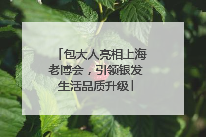 包大人亮相上海老博会，引领银发生活品质升级