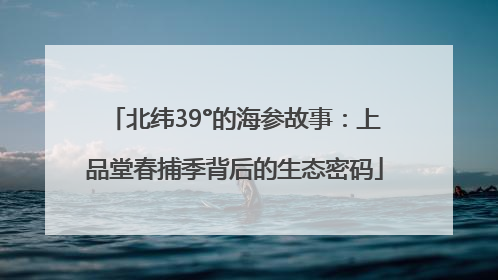 北纬39°的海参故事：上品堂春捕季背后的生态密码