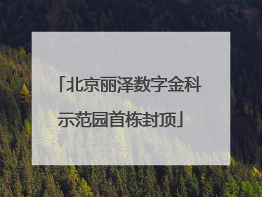 北京丽泽数字金科示范园首栋封顶