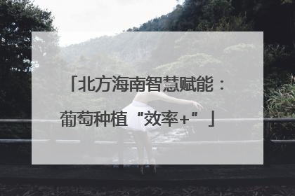 北方海南智慧赋能：葡萄种植“效率+”