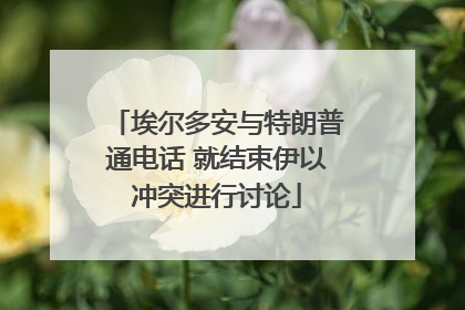 埃尔多安与特朗普通电话 就结束伊以冲突进行讨论