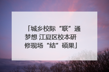 城乡校际“联”通梦想 江夏区校本研修现场“结”硕果
