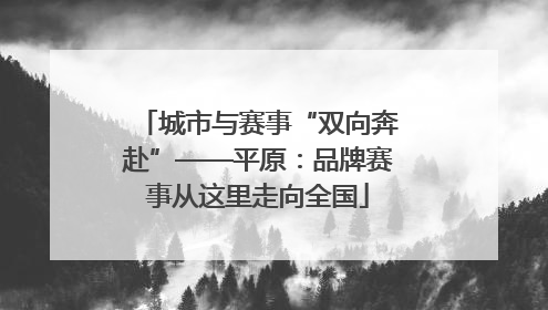 城市与赛事“双向奔赴”——平原：品牌赛事从这里走向全国