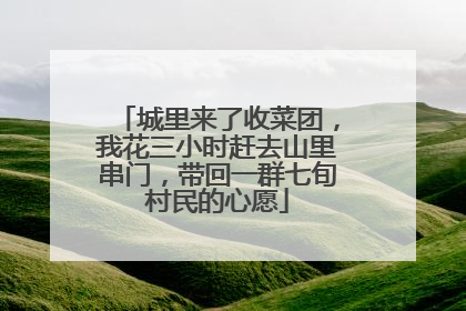城里来了收菜团，我花三小时赶去山里串门，带回一群七旬村民的心愿