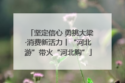 坚定信心 勇挑大梁·消费新活力丨“河北游”带火“河北购”
