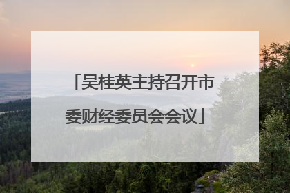 吴桂英主持召开市委财经委员会会议