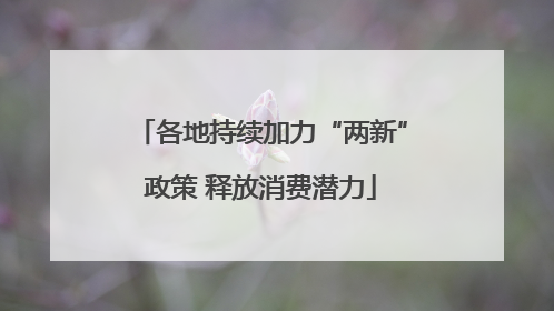 各地持续加力“两新”政策 释放消费潜力