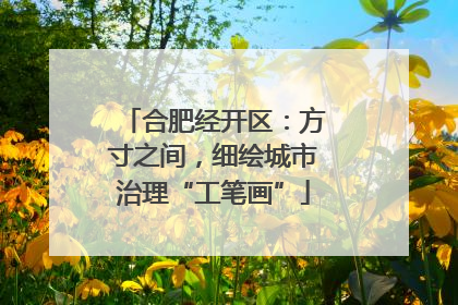 合肥经开区：方寸之间，细绘城市治理“工笔画”