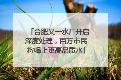 合肥又一水厂开启深度处理，百万市民将喝上更高品质水