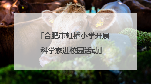 合肥市虹桥小学开展科学家进校园活动